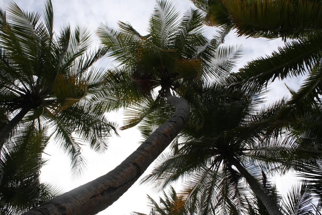 Hudhu Raakani Lodge Maldives Thinadhoo  Esterno foto