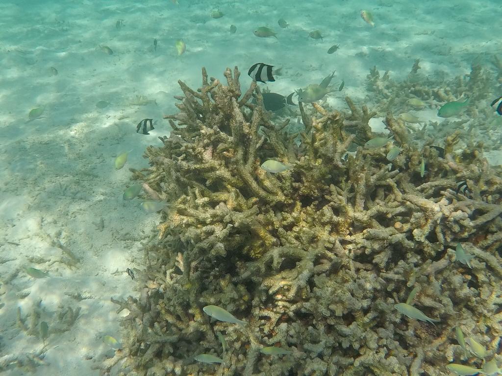 Hudhu Raakani Lodge Maldives Thinadhoo  Esterno foto