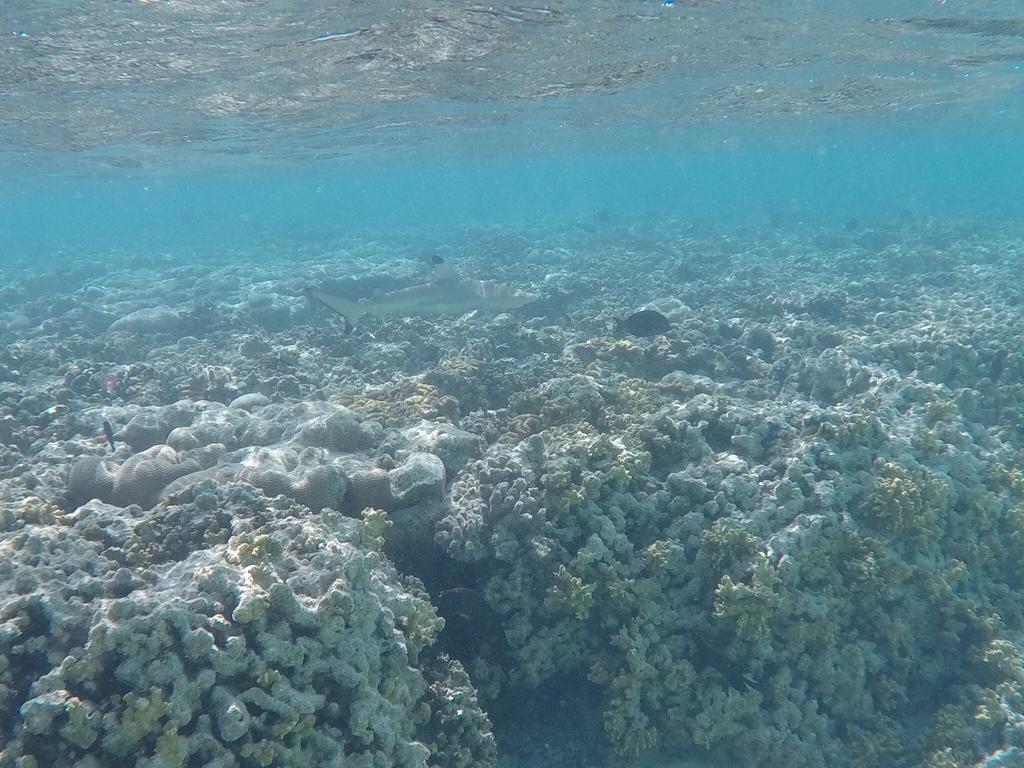 Hudhu Raakani Lodge Maldives Thinadhoo  Esterno foto